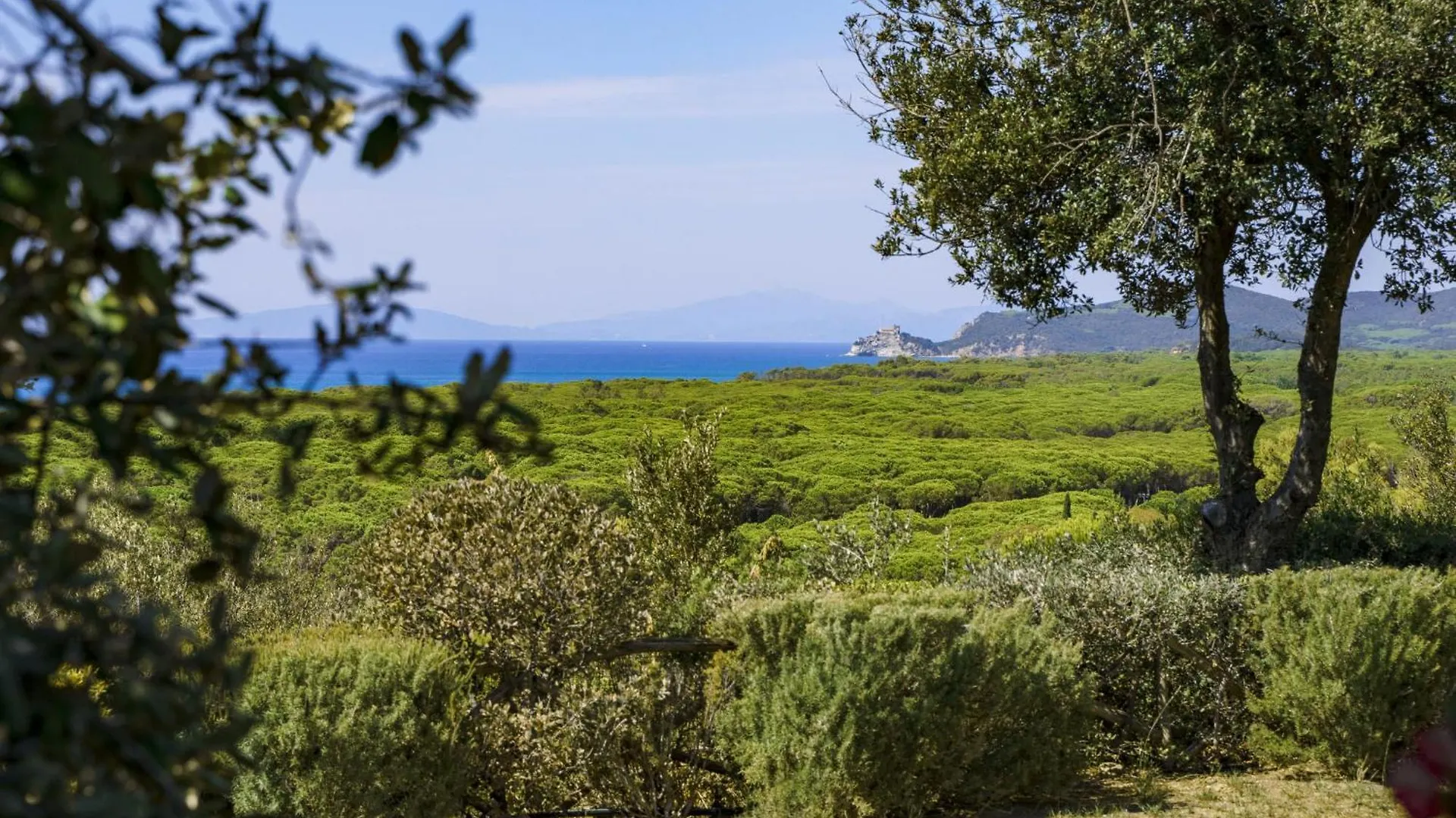 Holiday Home Twoo-Room Comfort By Interhome Castiglione della Pescaia