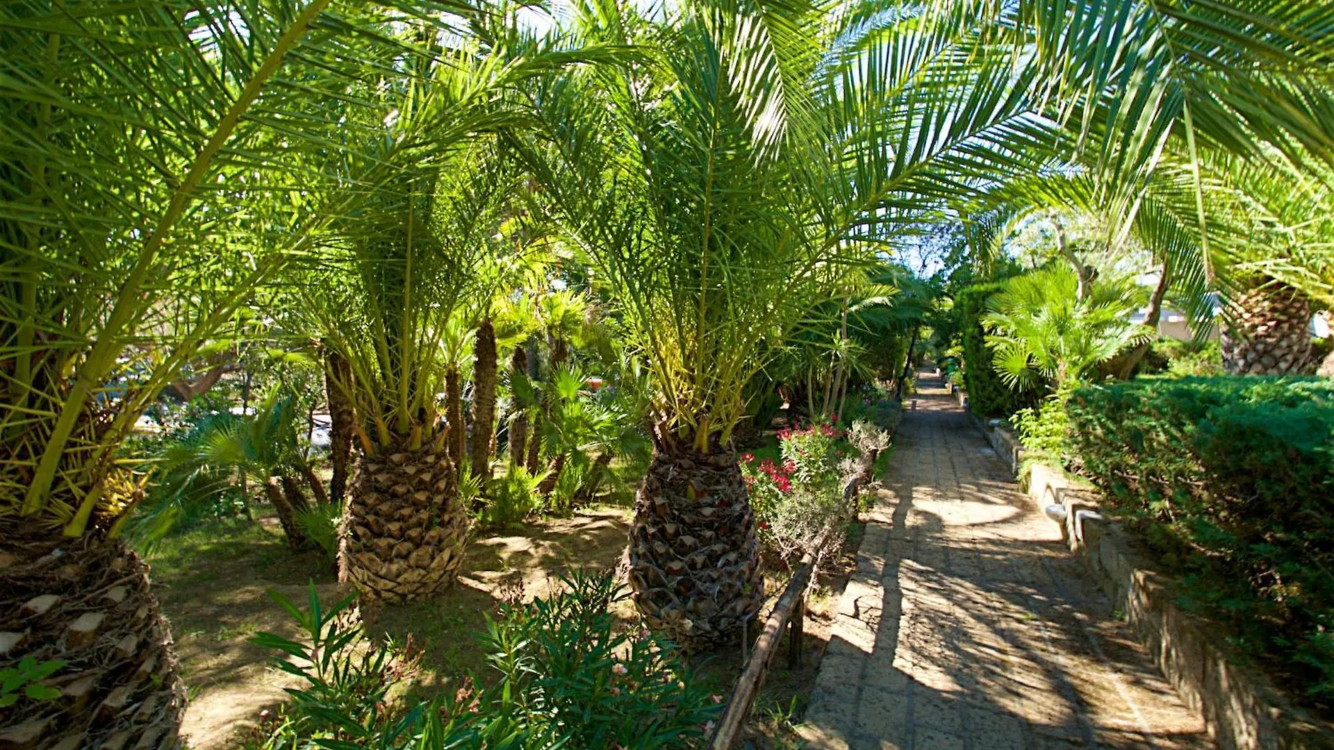 Holiday Home Twoo-Room Comfort By Interhome Castiglione della Pescaia 0*,